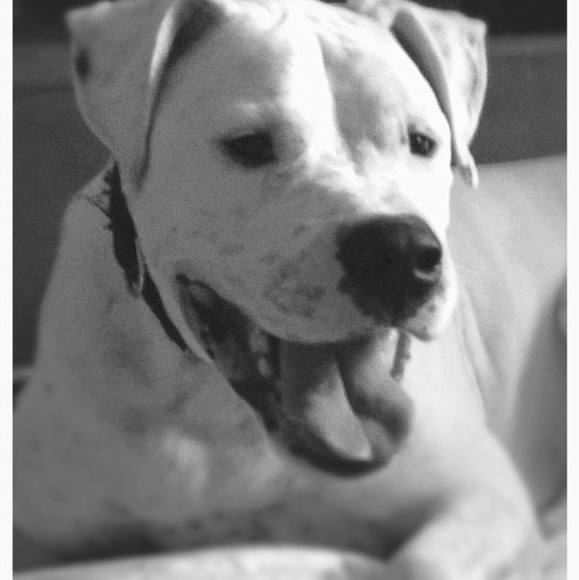 shiloh7777